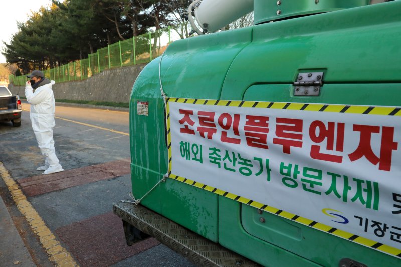 부산 기장군의 한 농장에서 조류인플루엔자(H5형) 항원이 검출돼 방역요원들이 방역소독을 하고 있다. 2022.12.20/뉴스1 ⓒ News1 김영훈 기자