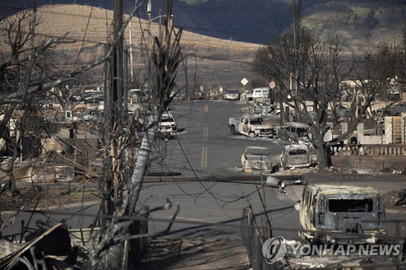 하와이 마우이섬에서 산불이 휩쓸고 간 라하이나 마을 현장 epa10799486 Burnt trees and cars and the ruins of houses are what is left after the Lahaina fire burnt through the city, in Lahaina, Hawaii, USA, 13 August 2023. At least 93 people were killed in the wildfires burning in Maui, which is considered the largest natural d