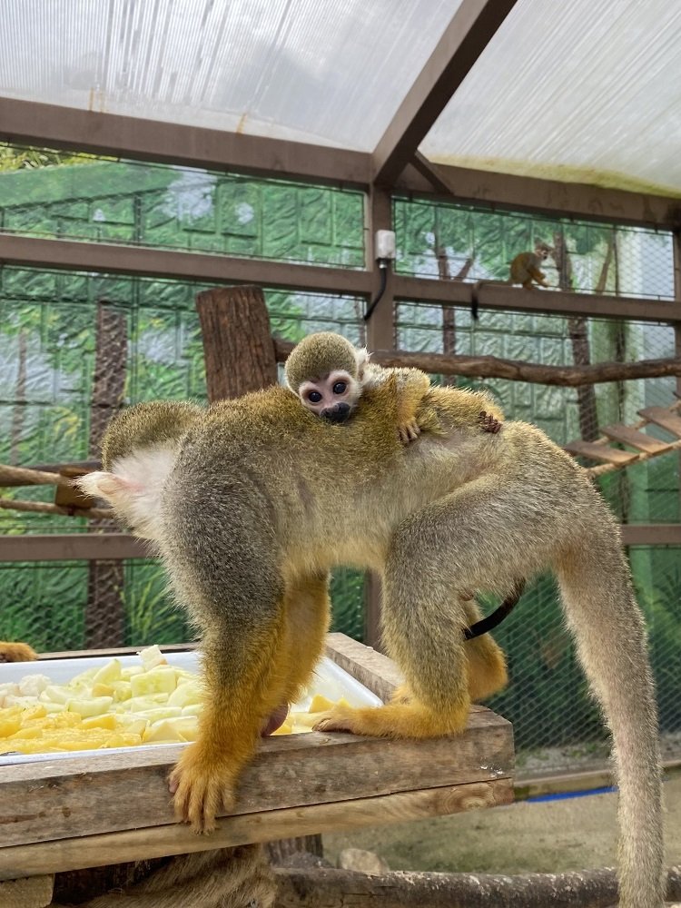 *재판매 및 DB 금지