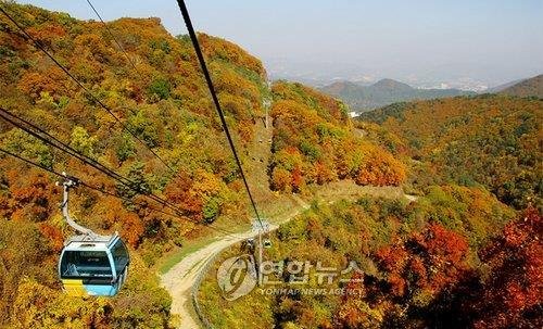 단풍이 짙은 평창 발왕산 [연합뉴스 자료사진]