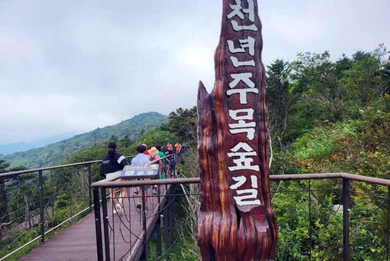 천년주목숲길 입구 [촬영 이상학]