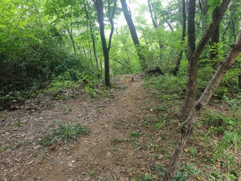[서울=뉴시스] 박광온 기자 = 대낮 서울 신림동의 한 산속 둘레길에서 여성을 상대로 한 성폭행한 범인이 폐쇄회로(CC)TV가 없는 사각지대를 노렸다고 진술한 가운데, CCTV 공백 지대를 메워야 한다는 목소리가 높다. 사진은 피의자 최모(30)씨가 범행을 저지른 장소. 2023.08.18. lighton@newsis.com