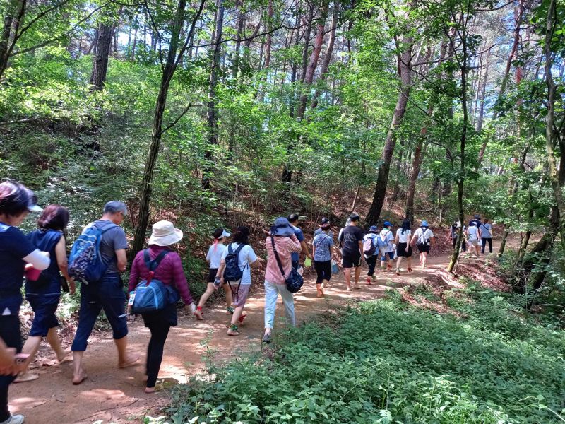 "맨발걷기 전 파상풍 접종하세요" 원주시, 예방접종 권고