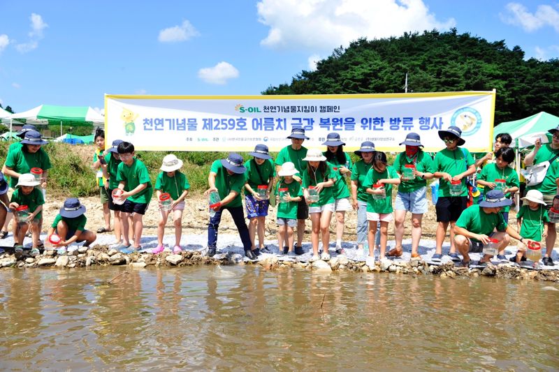 천연기념물 '어름치' 치어 방류 활동한 정유사는