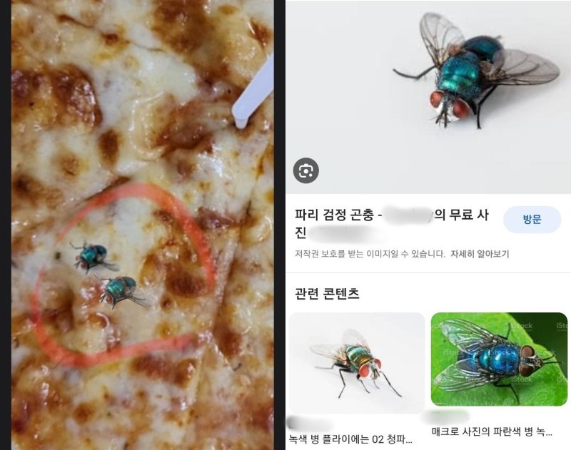 (사진=온라인 커뮤니티 갈무리) *재판매 및 DB 금지 /사진=뉴시스