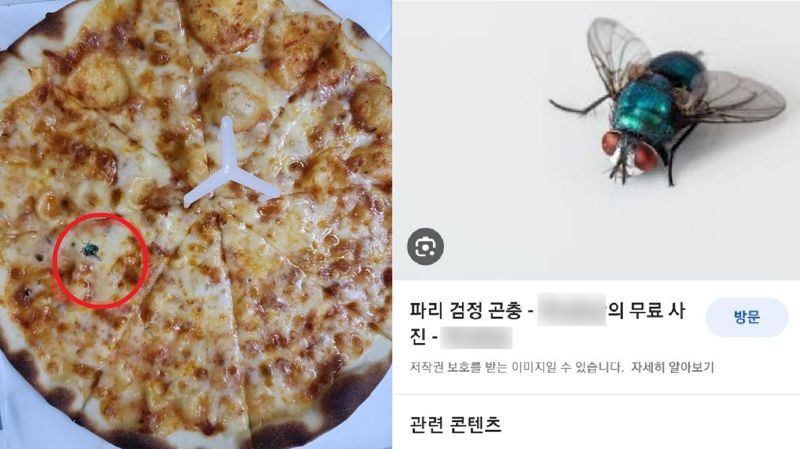 A씨가 공개한 피자 사진 /사진=온라인 커뮤니티