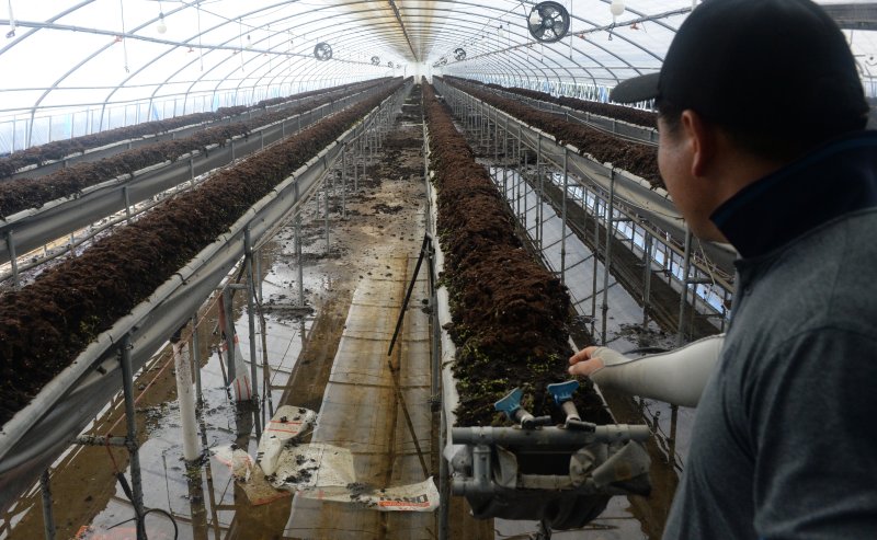 [완주=뉴시스] 김얼 기자 = 폭우에 잠겨 버린 비닐하우스. 2023.07.17. pmkeul@nwsis.com