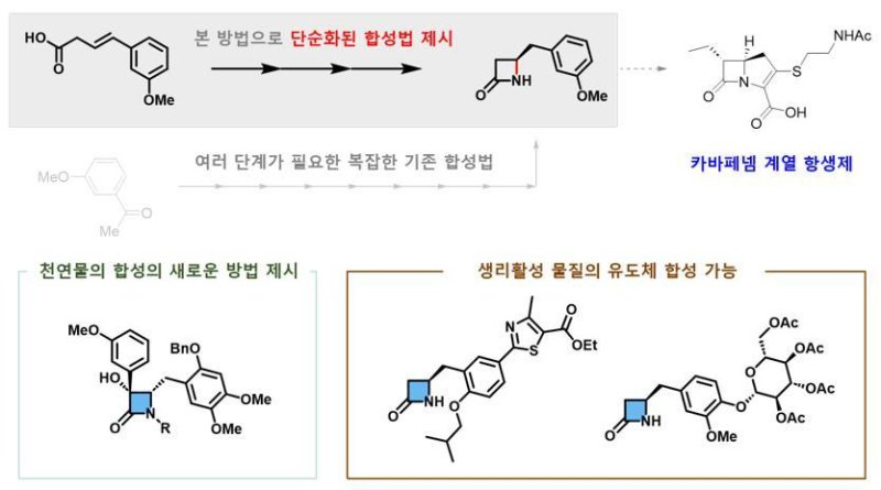 카이랄 베타-락탐 합성법의 응용.(IBS 제공)/뉴스1