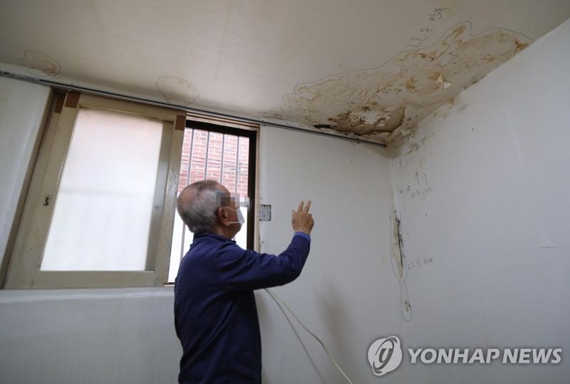 여름철 골칫거리 '곰팡이', 효과적 예방법은?