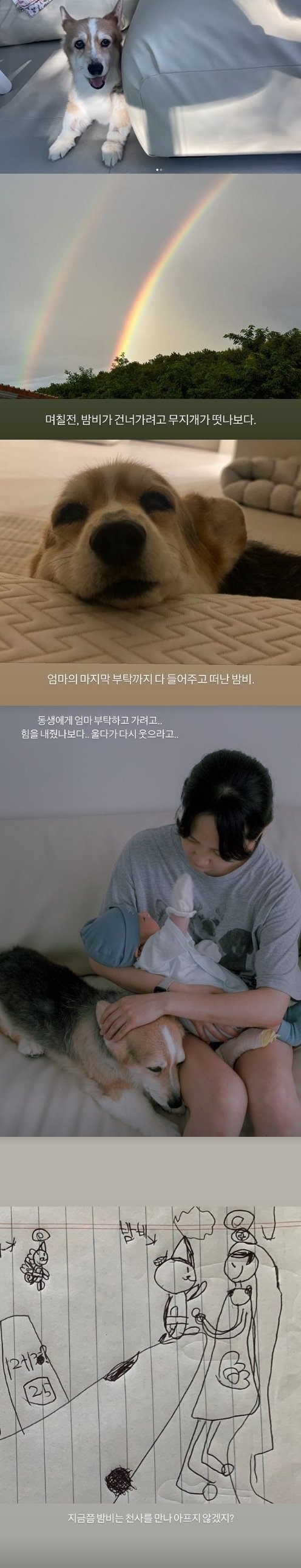 '엄마' 윤승아, 반려견과는 안타까운 이별 "16년 함께 하다 떠나…실감 안 나"