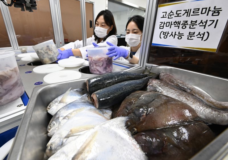 '오염수 방류' 한국내 일본인 반응은?.."나도 걱정" VS "日정부 믿어"