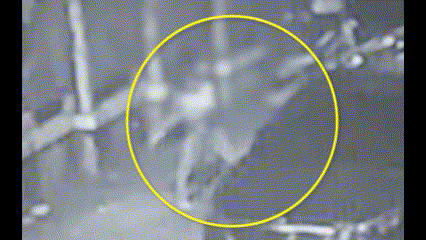 한밤 중 소화기 난동女.."은행 거래 문제로 화 나" [영상]