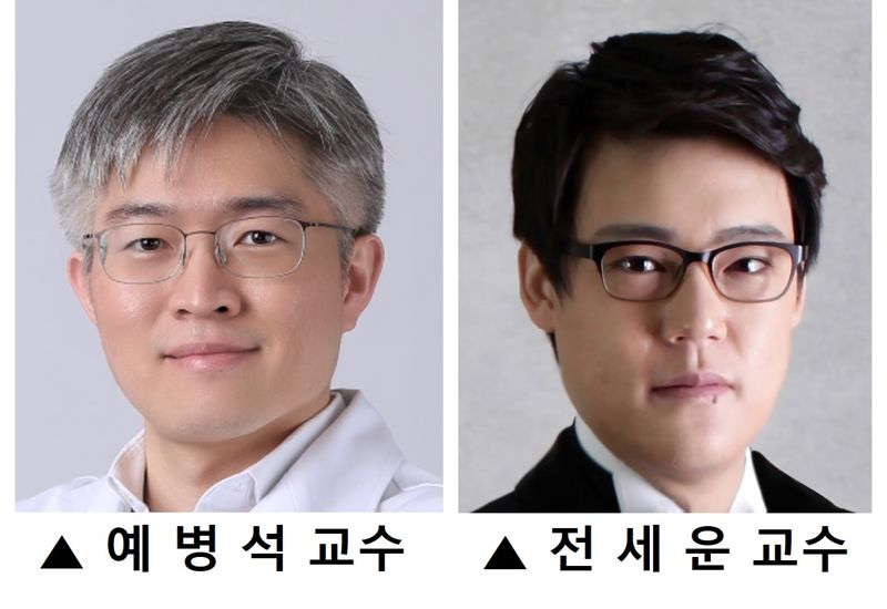 세브란스 "뇌 혈류량으로 혼합형 치매 진단 정확도 개선"