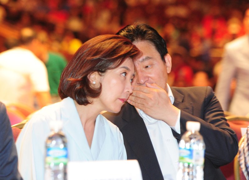 나경원 전 국민의힘 의원(왼쪽)과 원희룡 국토부 장관(오른쪽)/사진=뉴스1