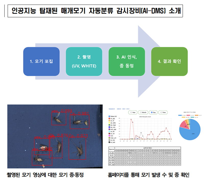 질병관리청 제공.