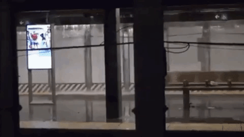 미국 뉴욕시에서 수도관이 파열되면서 한 지하철역에 물이 쏟아지고 있다. X(옛 트위터)