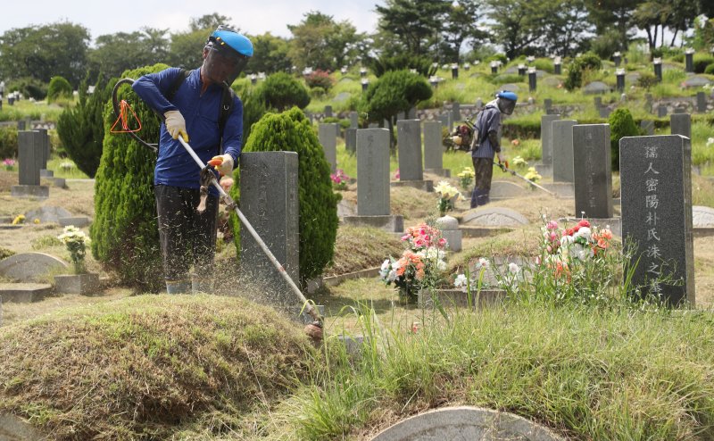 울산 남구 울산공원묘원에서 작업자들이 예초기로 묘소와 주변의 풀을 정리하고 있다. 2022.8.25/뉴스1 ⓒ News1 윤일지 기자