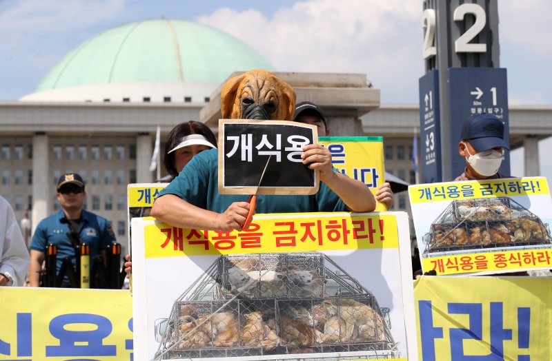 한국동물보호연합, 동물보호단체 행강 등 회원들이 지난달 31일 오후 국회 앞에서 개 식용 금지법 국회 연내 통과를 촉구하는 기자회견을 하고 있다. 뉴시스