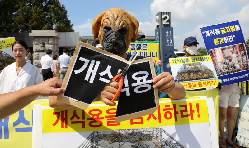 한국동물보호연합, 동물보호단체 행강 등 회원들이 지난달 31일 오후 국회 앞에서 개 식용 금지법 국회 연내 통과를 촉구하는 기자회견을 하고 있다. 뉴시스