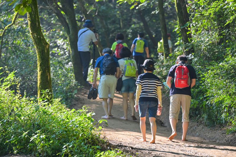 제1회 원주맨발걷기 축제가 2일 원주시 행구동에서 열린 가운데 참가자들이 운곡솔바람숲길을 걷으며 여유로운 주말을 보냈다. 원주시 제공