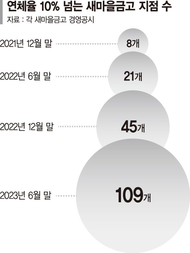 부실 위험 새마을금고 1년새 5배 늘었다