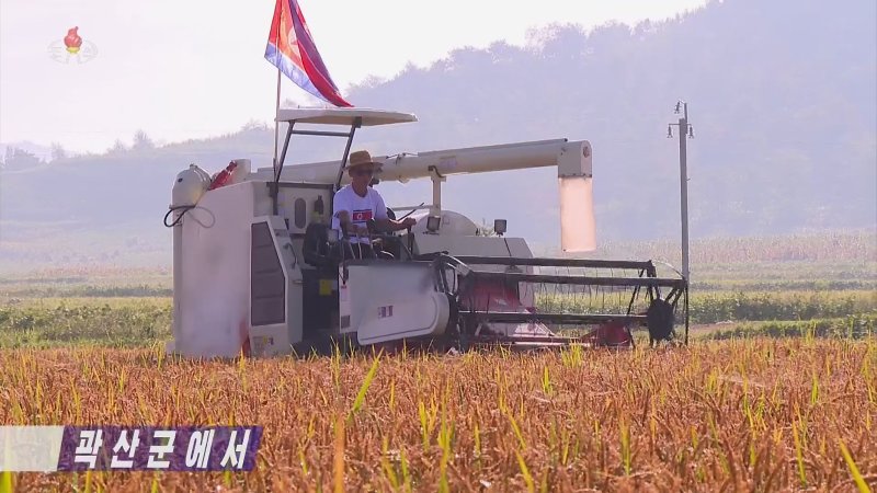 북한 평안북도 곽산군에서 지난 9월 2일 올해 첫 벼가을(추수)이 진행된 소식을 조선중앙TV가 9월 3일 보도했다.<div id='ad_body3' class='mbad_bottom' ></div> 사진=조선중앙TV