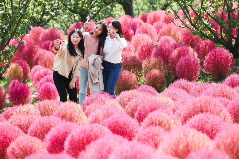 "해피 땡스기빙 즐겨요"···에버랜드, 풍성한 가을축제 개막