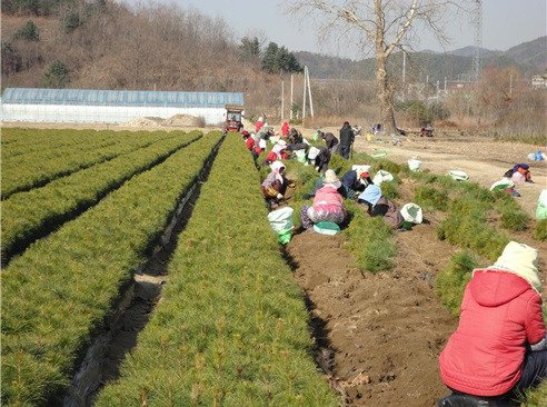 '도시 미취업자, 농가 취업' 1년새 2배 이상 증가