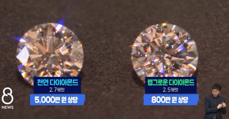 (사진=SBS 뉴스 캡처본) *재판매 및 DB 금지