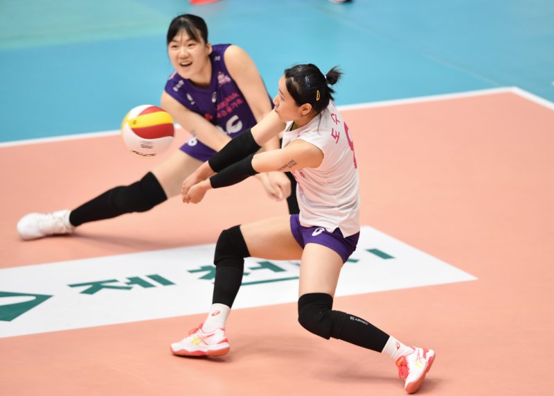 흥국생명 리베로 도수빈. (한국배구연맹 제공) ⓒ 뉴스1