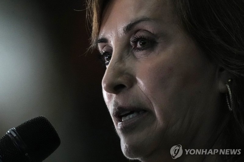 디나 볼루아르테 페루 대통령 Peru's President Dina Boluarte talks to the press at the end of the Amazon Summit, at the Hangar Convention Center in Belem, Brazil, Tuesday, Aug. 8, 2023. Belem is hosting the Amazon Cooperation Treaty Organization that is meeting to chart a common course for protection of the biore