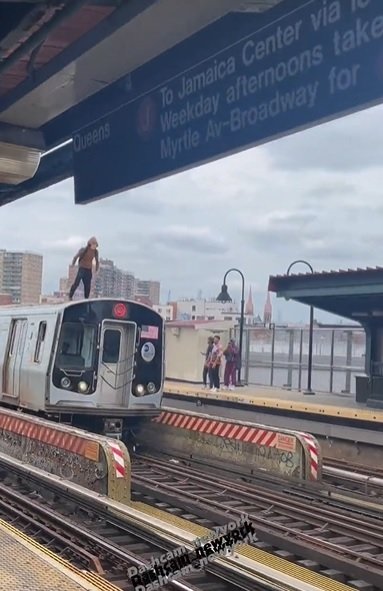 미국에서 달리는 지하철 위에 올라타 달리는' 지하철 서핑'을 하다 열차에서 추락해 사망하는 사건이 또다시 벌어졌다. (기사의 직접적인 내용과 관련 없는 사진) 사진=뉴스1, 엑스 캡처