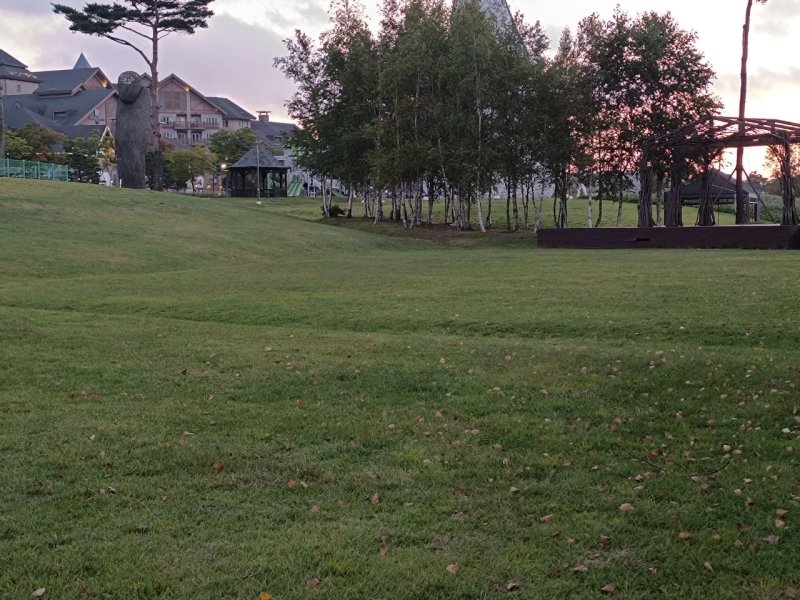 취재가 시작되자 철수한 알펜시아 파크골프장. *재판매 및 DB 금지