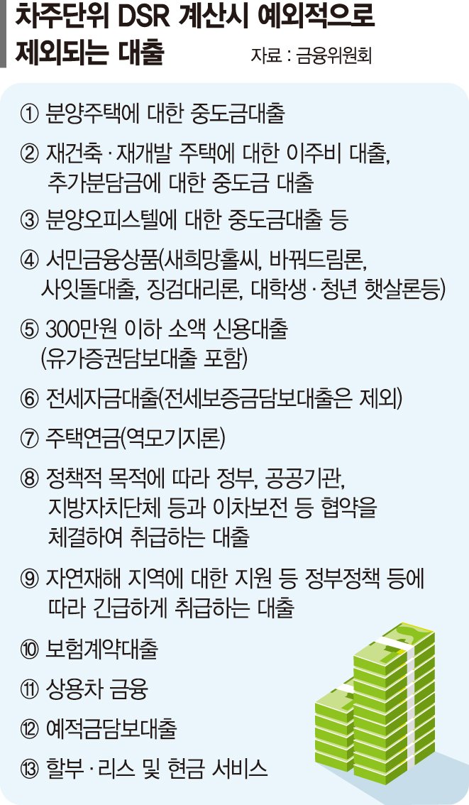 'DSR 예외대상'유지… 가계부채 리스크 관리 역부족