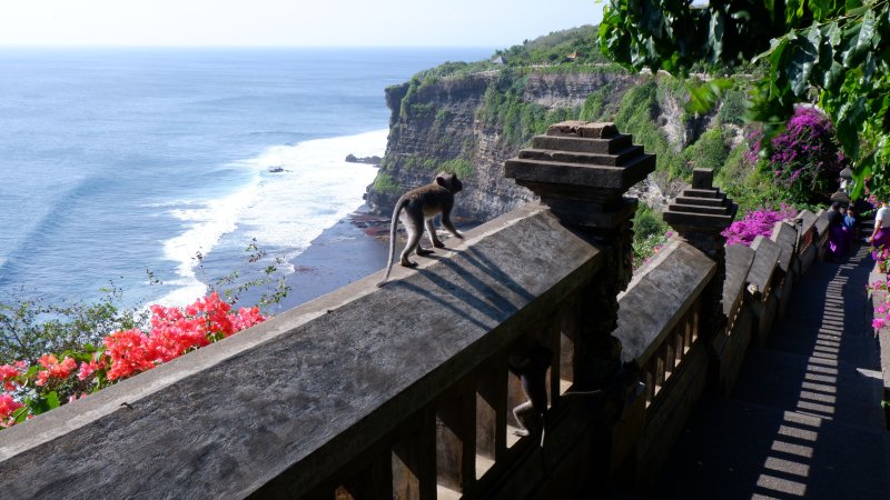 깎아지른 듯한 바다 절벽 위에 자리한 울루와투 절벽 사원ⓒ News1