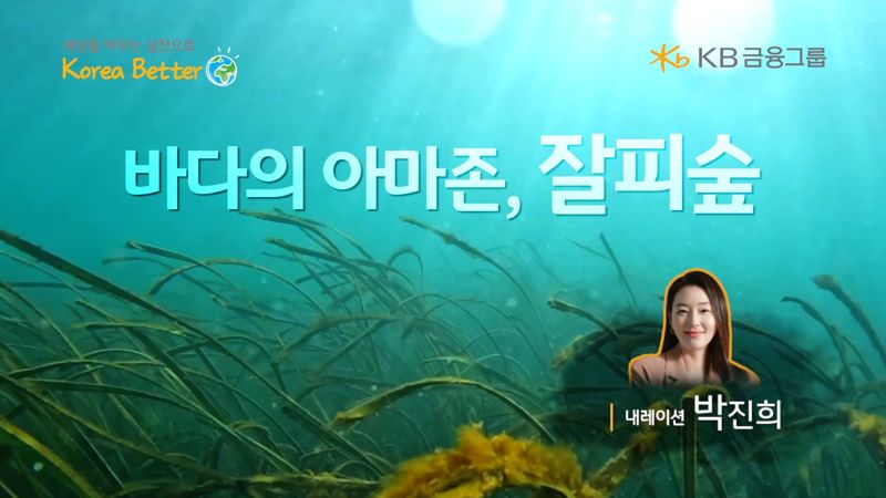 KB금융, 국제 연안 정화의 날 맞아 ‘바다의 아마존, 잘피숲’ 소개