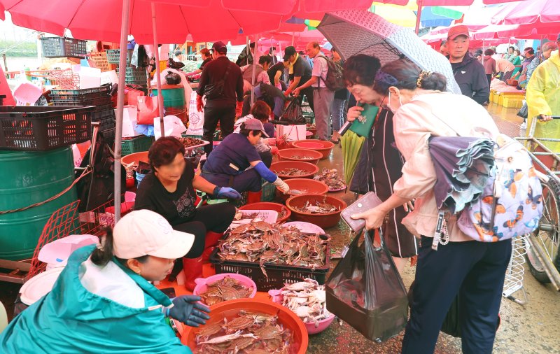 해수부, 17일까지 소래포구서 우럭 등 수산물 시식회