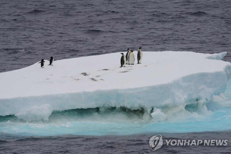 줄어드는 바다얼음 (191220) -- ABOARD XUELONG 2, Dec. 20, 2019 (Xinhua) -- Penguins are seen on a floating ice near China's polar icebreaker Xuelong 2, or Snow Dragon 2, in the Southern Ocean on Dec. 19, 2019. China's first domestically made polar icebreaker Xuelong 2 came across many polar animals in the So