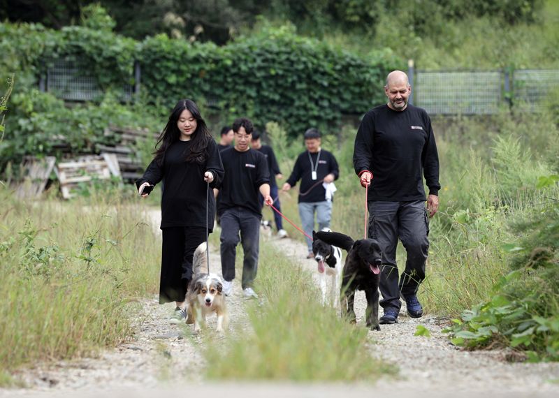 네슬레 퓨리나 임직원들이 지난 14일 경기 파주시에 위치한 한국유기동물복지협회에 방문해 유기견 산책 봉사활동을 진행하고 있다. 네슬레퓨리나 제공
