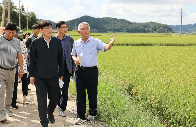 조재호 농촌진흥청장은 18일 전남 무안군 가루쌀 생산단지를 찾아 생육상황을 점검하고 있다. 사진제공 = 농촌진흥청