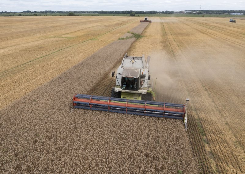[즈후리우카=AP/뉴시스]헝가리, 폴란드, 슬로바키아가 우크라이나산 곡물과 그 밖의 식품 수입을 금지하자, 데니스 슈미할 우크라이나 총리는 세계무역기구(WTO)에 제소할 것이라고 19일(현지시간) 밝혔다. 2022년 8월9일자 사진으로, 우크라이나 즈후리우카 마을에서 농부들이 밀을 수확하고 있다. 2023.09.19.