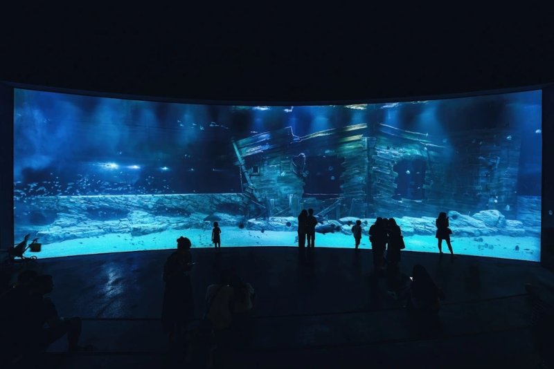 롯데월드 아쿠아리움 메인 수조(롯데쇼핑 제공)