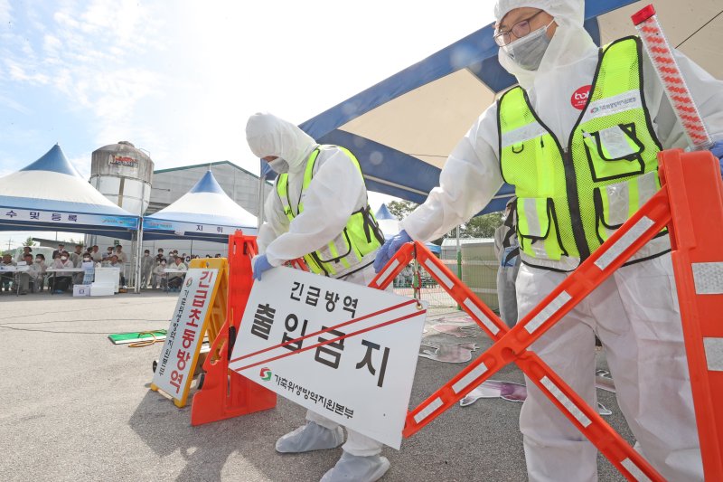 전라북도 임실군 임실축협에서 열린 ‘2023 아프리카돼지열병(ASF) 가상방역훈련’에서 가축위생방역본부 초동방역팀이 출입 금지를 하고 있다. (임실군청 제공) 2023.8.31/뉴스1 /사진=뉴스1