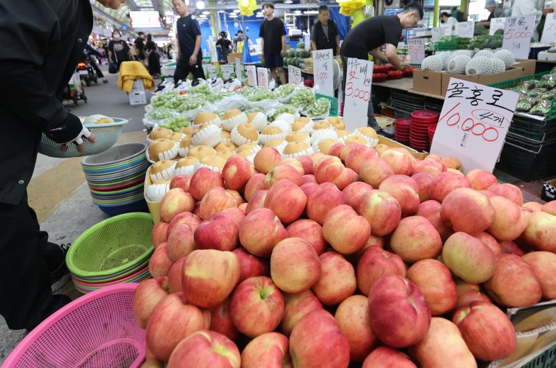 추석을 닷새 앞둔 24일 서울 시내의 한 전통시장 청과매장에서 시민들이 과일을 살펴보고 있다. 연합뉴스