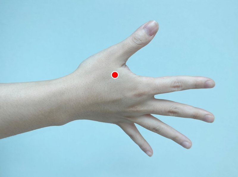 합곡혈(合谷穴). (대전자생한방병원 제공) /뉴스1