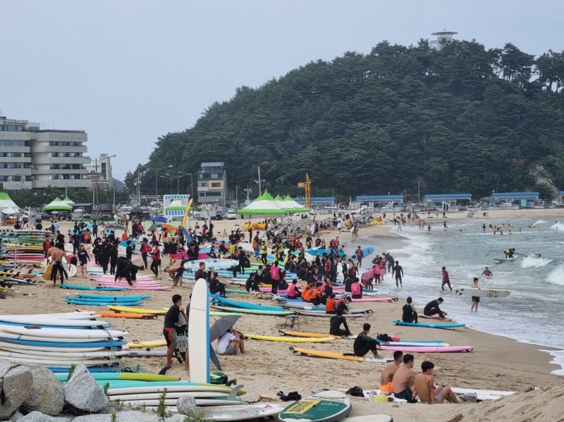 강원 양양 인구해변에서 서핑을 즐기는 서퍼들.(뉴스1 DB)