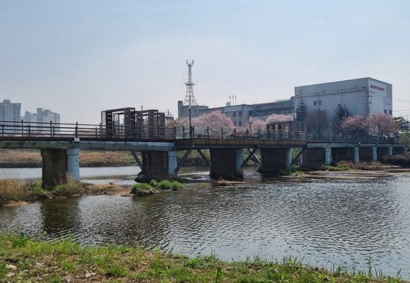 충북 증평군 증평읍 송산리 송산교.(증평군 제공)/뉴스1