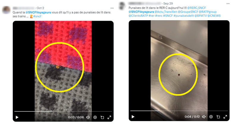 프랑스 누리꾼들이 대중교통에서 빈대를 발견했다고 주장하며 X(구 트위터)에 게시한 영상. /사진=X 캡처
