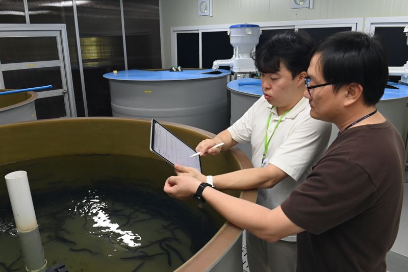 ETRI 김준규 박사(왼쪽)와 박대헌 박사가 양식장 관련 프레임워크 기술을 이용해 실시간 수질 데이터 및 양성 데이터 기반으로 실제 장어의 사육 환경을 관리하고 있다. ETRI 제공