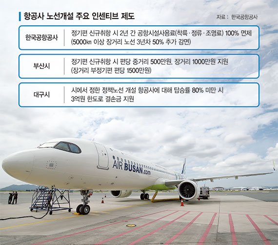 "해외여행, 인천까지 가지 마세요" 지방공항 '글로컬'이 살길 [공항 양극화시대 지방이 무너진다 <3>]